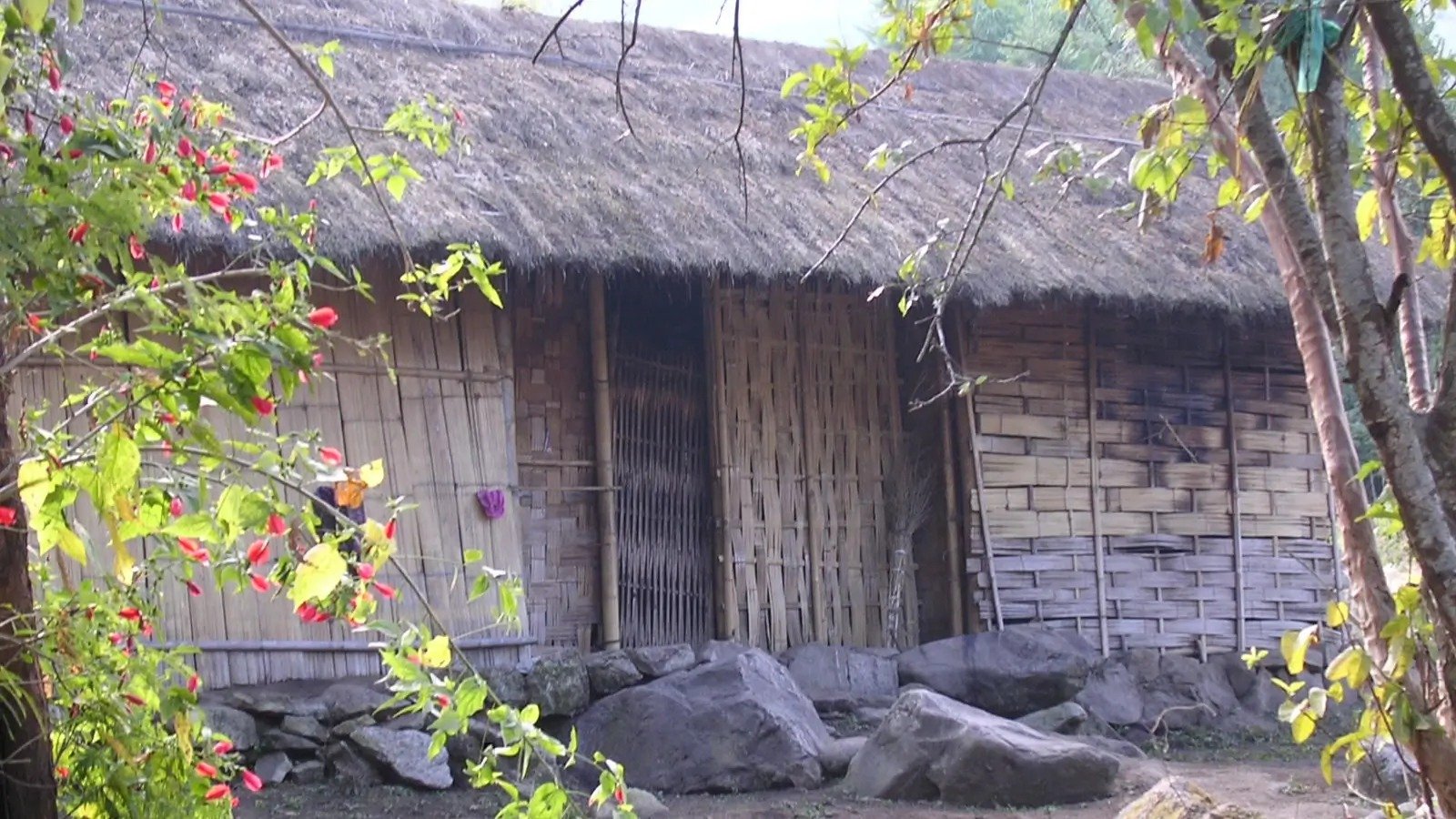 “abandonem-o-cristianismo”,-dizem-policiais-ao-destruir-casa-de-idosa-no-laos