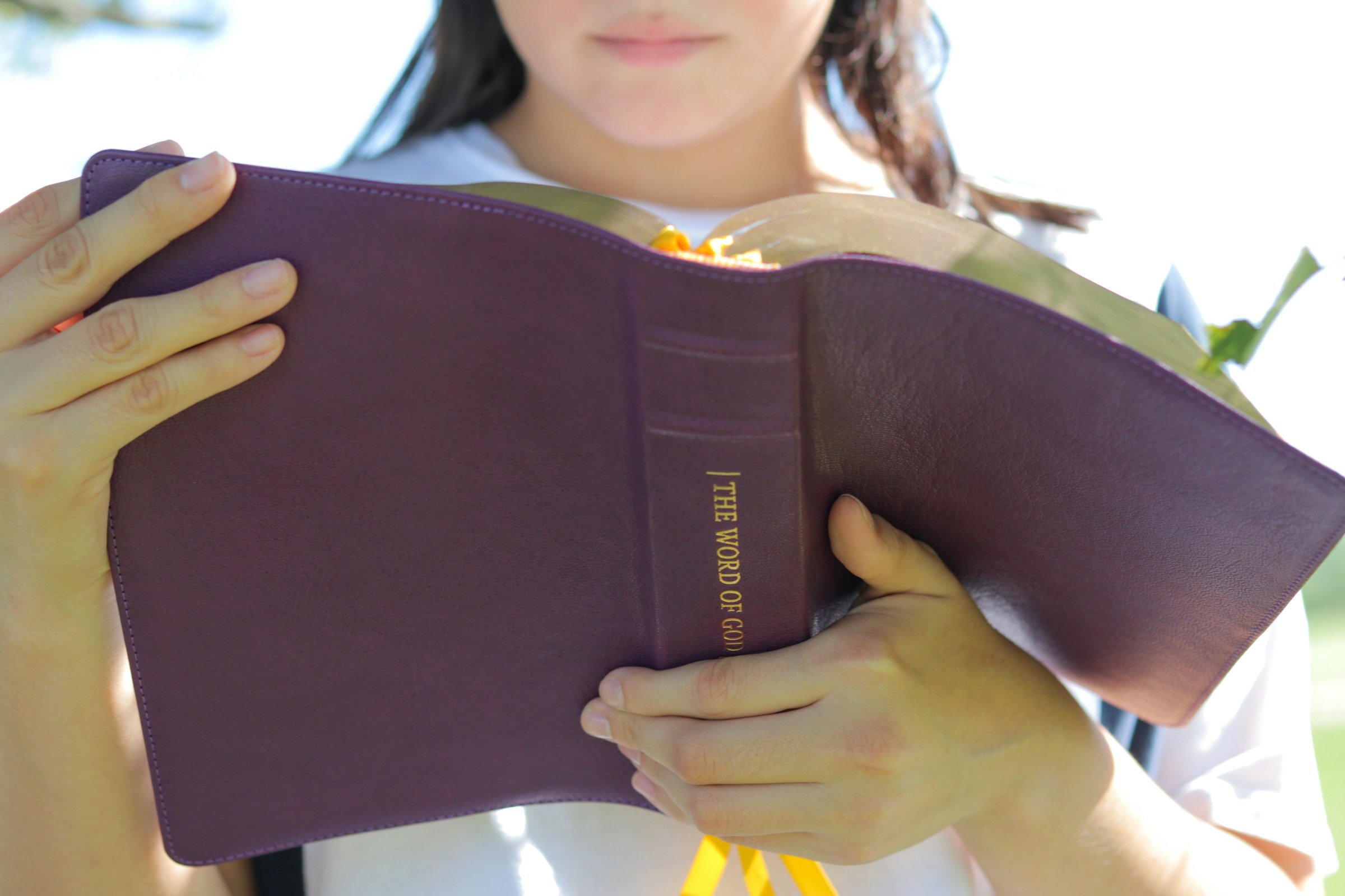 projeto-de-lei-propoe-disponibilizar-biblias-em-escolas-publicas-de-porto-alegre
