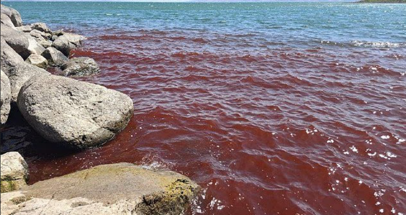cenario-de-milagres-de-jesus,-mar-da-galileia-amanheceu-tingido-de-vermelho