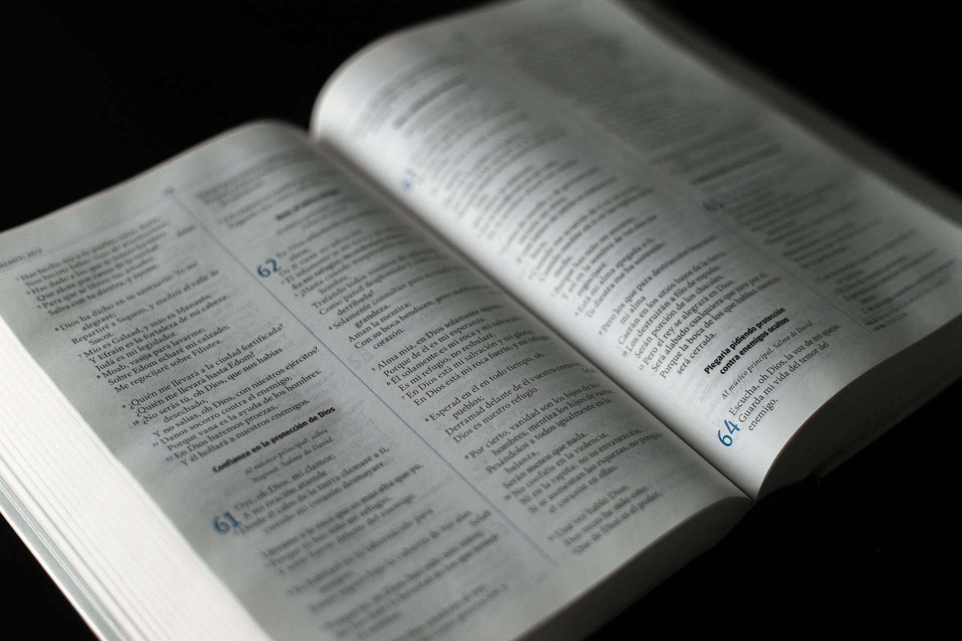 camara-de-joinville-aprova-uso-da-biblia-como-material-complementar-em-escolas