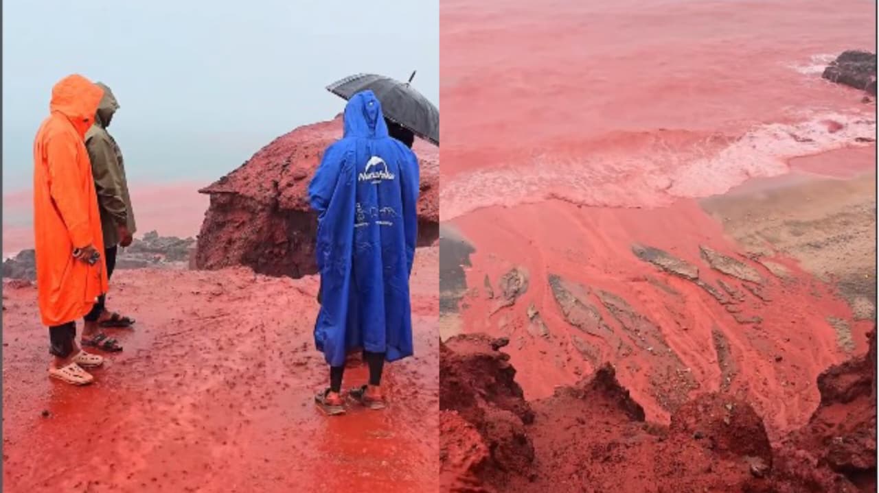 semelhante-a-praga-biblica,-mar-fica-cor-de-sangue-em-praia-no-ira