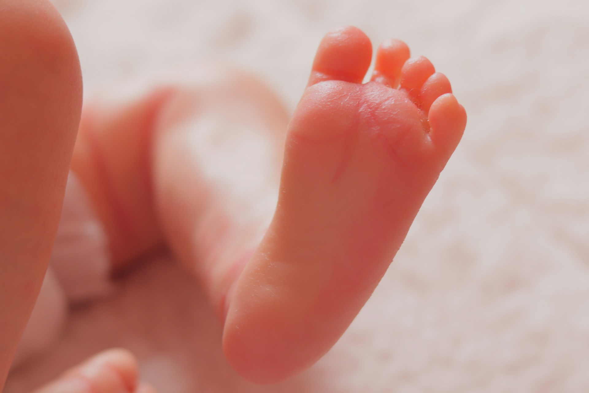 aborto-foi-a-principal-causa-de-morte-no-mundo-em-2025,-com-73-milhoes-de-casos